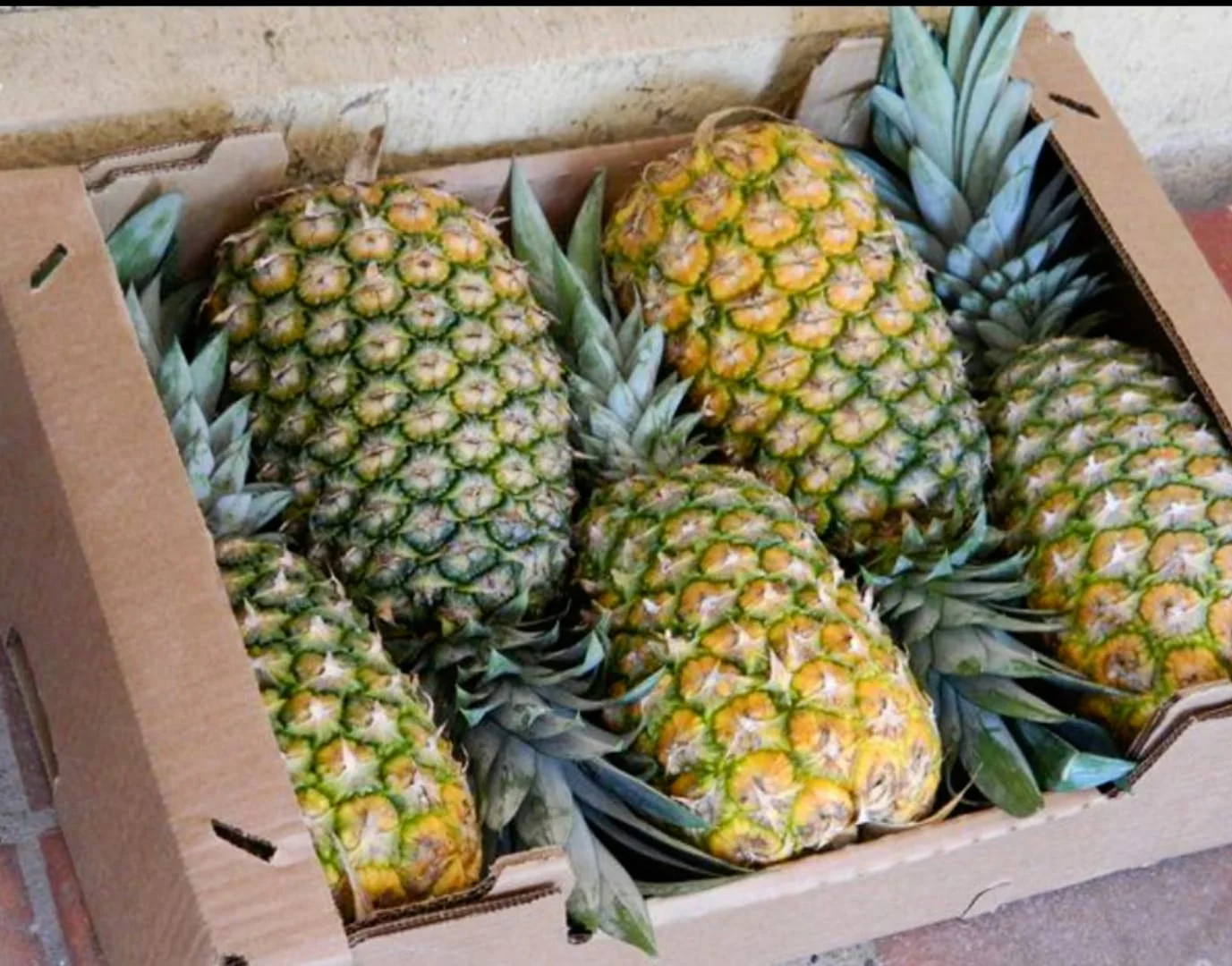 Piña. Exótica y deliciosa, la piña es cosechada con técnicas agrícolas ecológicas que respetan el medio ambiente.